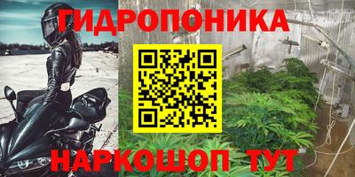 крисы Обь
