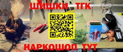 крисы Обь