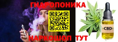 индика Партизанск