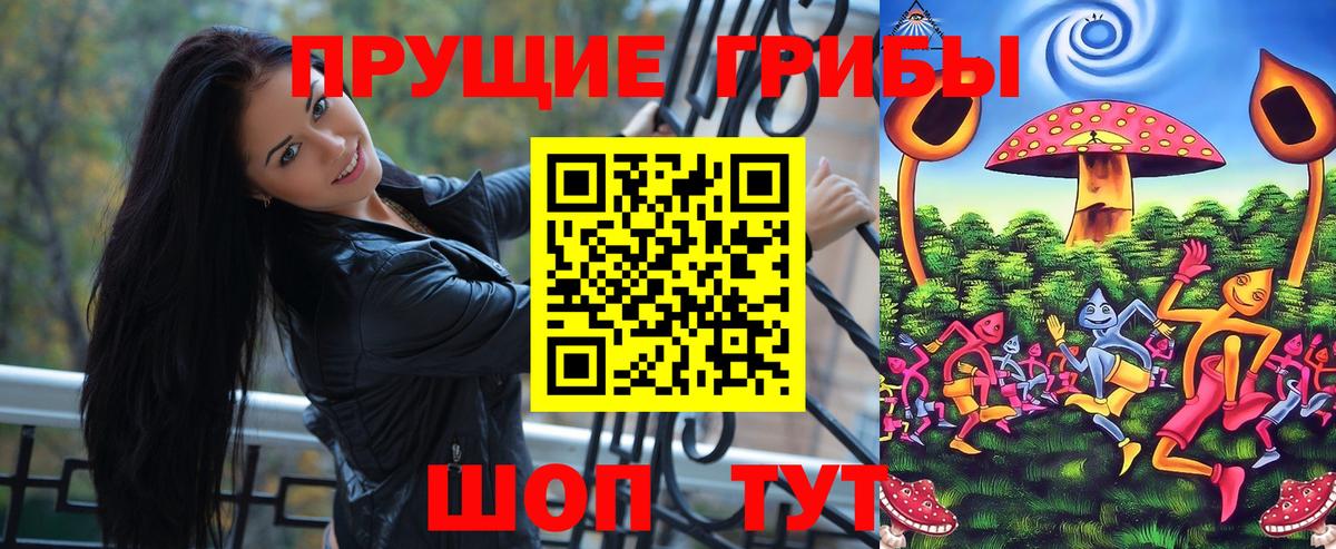 Псилоцибиновые грибы Psilocybine cubensis Сызрань