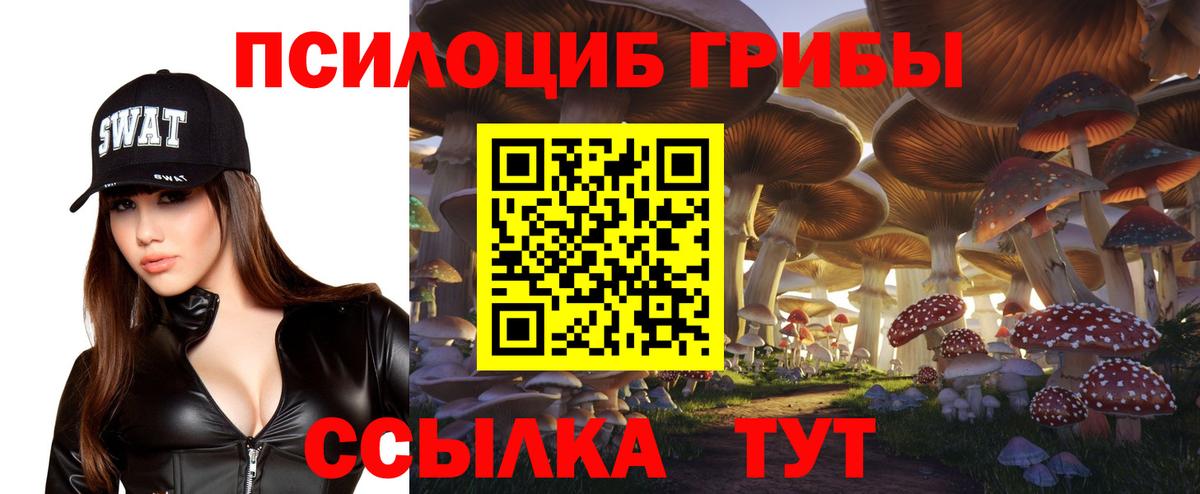 Сызрань  дарнет шоп  Вход с VPN  Псилоцибиновые грибы Magic Shrooms 